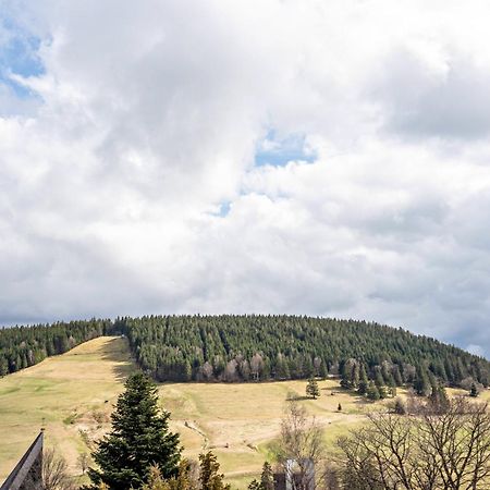 Appartamento Haus Bergruh Kuckucksnest Todtnauberg Esterno foto