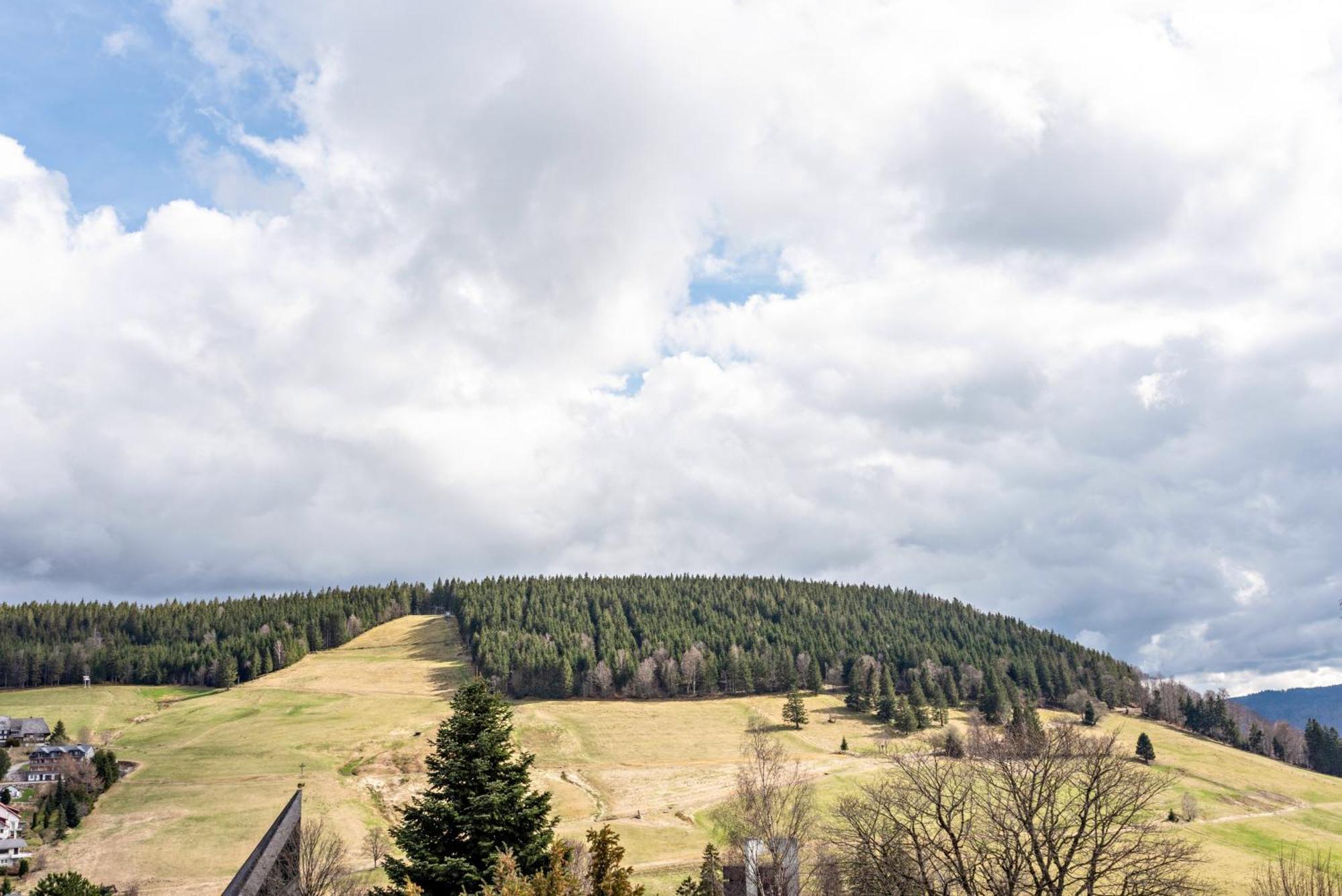 Appartamento Haus Bergruh Kuckucksnest Todtnauberg Esterno foto